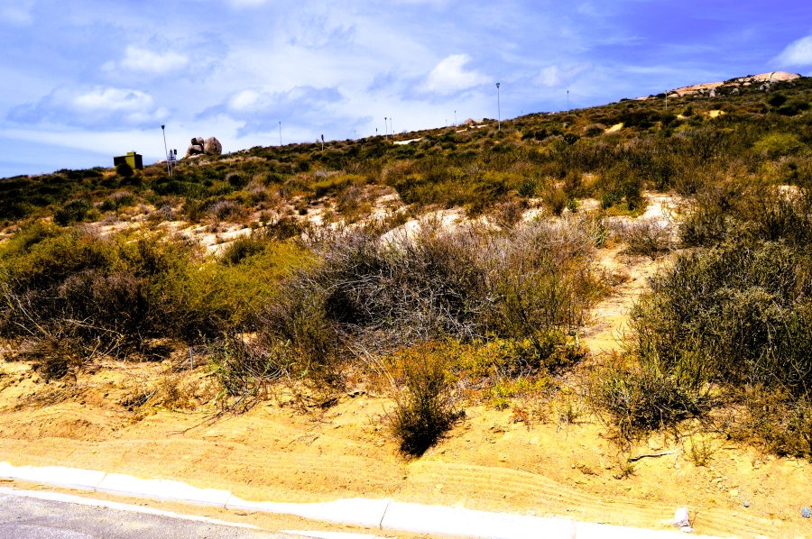 0 Bedroom Property for Sale in Steenbergs Cove Western Cape